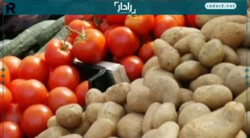 أسعار الطماطم والخضراوات والفاكهة في الوادي الجديد اليوم